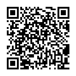 已经成为她身边重要男配之一的秦轩就动手将青瑶解决了……二维码生成