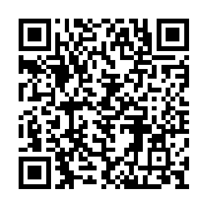 已经成为骑士的人自然无法再换一种功法来修炼二维码生成