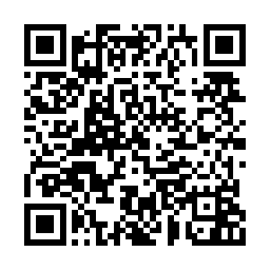 已经扑到身前的黑熊猛地一下就被猛虎给撞了开二维码生成