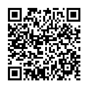 已经打下了非常坚实的元神烙印了……想要真正的为我所用二维码生成