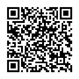 已经把君无妄五马分尸之后再碎尸万段了……但那些只是yy二维码生成