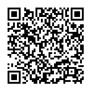 已经把所有关于龙皇的记忆水晶之中留下的影像观看揣摩了无数遍二维码生成