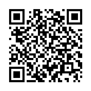 已经报送材料的这些单位早就得到了消息二维码生成