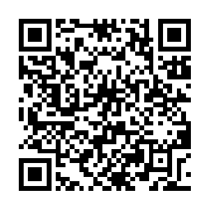 已经抬头可见一道高如城墙的黑沙从西北方推移而来二维码生成