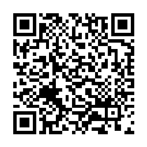 已经换上一身白色华丽长裙的月儿正悄然跟在他身后二维码生成