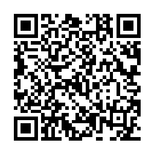 已经攀至一种让众多太始境强者都望尘莫及的极高境界二维码生成