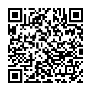 已经明白这两个人应该是那个倾国倾城的女人的保镖了二维码生成