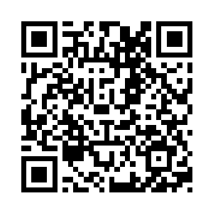 已经是上品上等圣域绝学中极为高阶的层次二维码生成