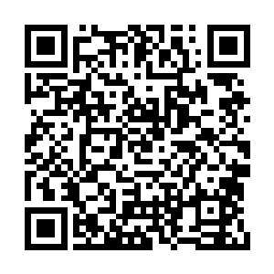 已经是他在这么短的时间里能找到的所有灵药了二维码生成