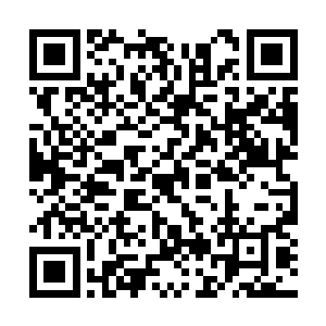 已经是他根本无法闪避得了的了……黑夜躲闪不了二维码生成