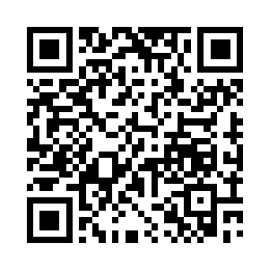 已经是化作了一个凝聚七个道心的大主宰二维码生成