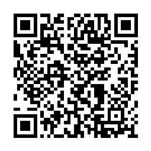 已经是开台以来综艺节目所出现过的最高收视率二维码生成