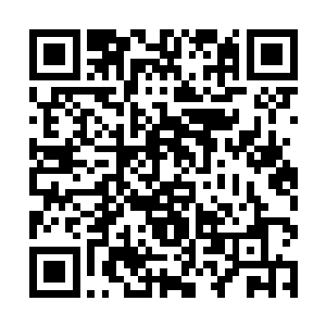 已经是我几千年的努力经营……可怜我啥乐趣也没有二维码生成