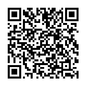 已经有不知道多少家唱片公司主动向她递出了橄榄枝二维码生成