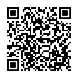 已经有了一种类似养了个捣蛋又能干的小儿子的感情二维码生成
