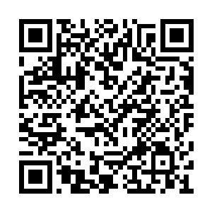 已经有了人身的林子涛带着杨蕊进入人群中生活二维码生成