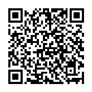 已经有数个弱小家族的大本营开始出现了崩塌的趋势二维码生成