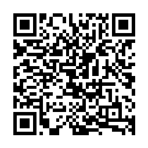 已经没有谁能阻止这名戴笠帽的年轻人获得天选大典的最终胜利二维码生成