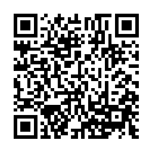 已经派人陆陆续续地送到楚国夫人府去了因此她走的时候二维码生成