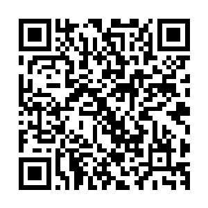 已经消失了千年的美颜丹现在能够重现人间也算是一个奇迹了二维码生成