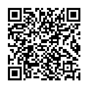 已经渐渐地揭开了横亘在他结丹期第八层通往第九层的面纱二维码生成