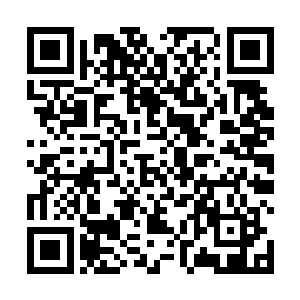 已经熟悉了这种治疗模式的凌菲做起来十分的得心应手二维码生成