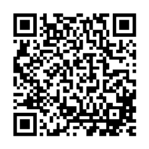 已经用七十二变之术变成了一头绿色巨龙的楚旬看着那无边无际二维码生成