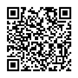 已经瘫坐在地上的秦中林在吴虎臣强大的威压收回之后二维码生成