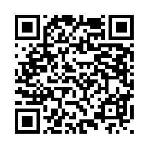 已经看不出刚带它回来时的样子了二维码生成