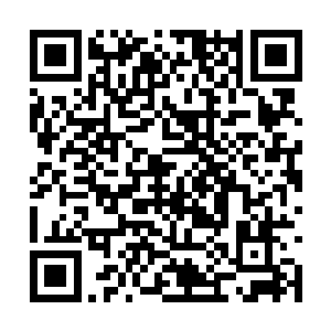 已经看过试映的希勒看着周围愣愣的盯着银幕的人二维码生成