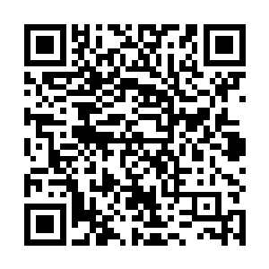 已经硬得像石头一样的肉干被铁皮蝾螈囫囵吞枣的吞下二维码生成
