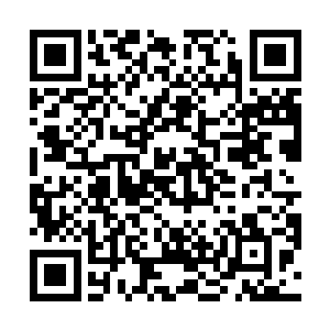 已经离开了数日的凤箫刚刚回到驿馆就听到了这个消息二维码生成