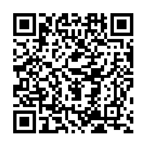 已经私自把座位换到白昊后排的胖子突然扯开嗓子大吼道二维码生成