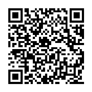 已经突破了斩三尸境界的熊孩子早已非吴下阿蒙二维码生成