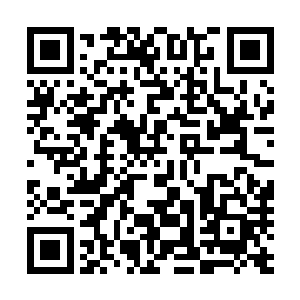 已经站在车厢里的农民伸手轻轻的接住枪哥举上來的洪亚伦二维码生成