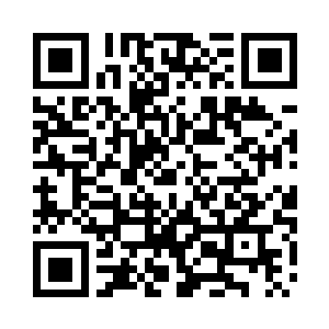 已经答应说今天要将白瞳儿带去皇宫二维码生成