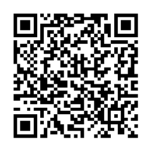 已经经历过两次这种情形的众多强者自然对此已经毫不在意二维码生成
