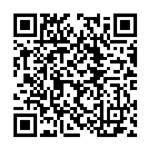 已经绽放出了宛若是结晶一样的黑色多重晶石条来二维码生成