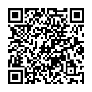 已经能够想象薛廉对自己的嘲笑和等下的跪着道歉二维码生成