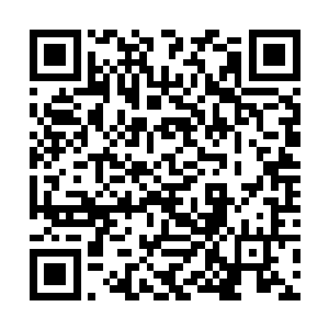 已经被吓傻的海盗就象是一群被人贴了符咒的僵尸般二维码生成