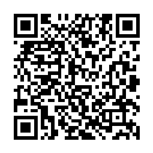 已经被方才那场短暂的对阵杀戮给震惊的失去了斗志二维码生成