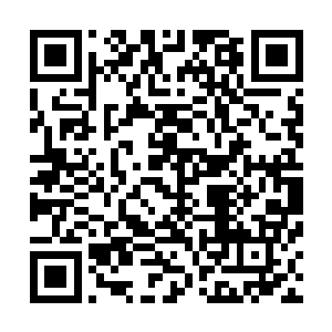 已经被贬为秦王的太子墨啸云和柳丞相一起出现走进了正殿二维码生成