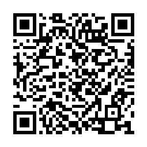 已经被这艘虚空飞船上的所有始境守护者知晓了二维码生成