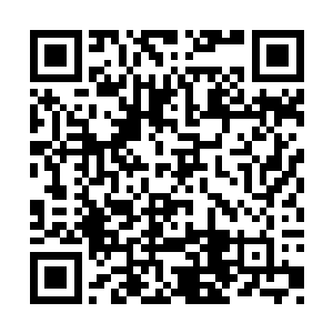 已经被霍君白的这一剑破开了一处拳头大小的孔二维码生成