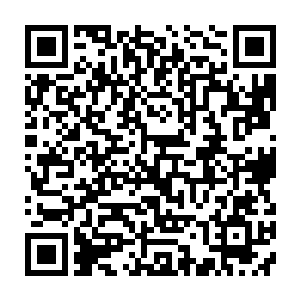 已经被龙战喂食过无数次的凌菲条件发射一般的张开洁白的贝齿将那肉咬在嘴里二维码生成