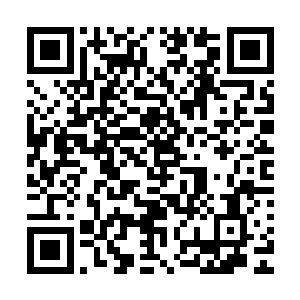 已经要请掌门人调拨能够最大限度克制这妖物的同门和法宝来二维码生成