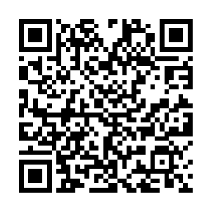 已经要超越后面这些小家伙现在所能承受的最高范围了二维码生成