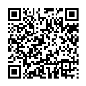 已经见识过了不同的九鬼门功法和七种不同的鬼身二维码生成