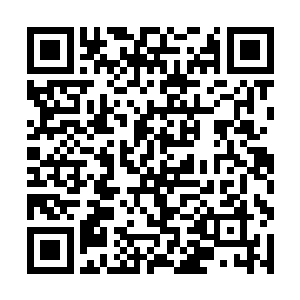 已经解决战斗的风奎更是瞪大一双虎目看着这一幕幕二维码生成