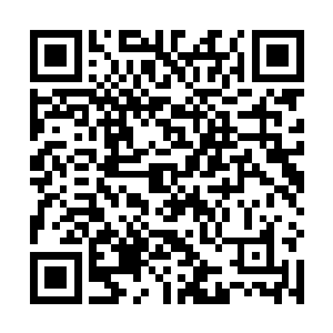 已经认定许浩量和许紫烟等人恐怕已经死在了试炼谷中二维码生成